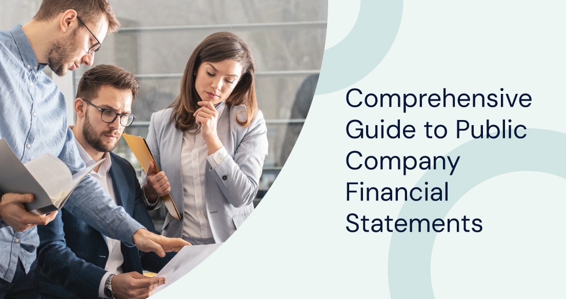 Comprehensive Guide to Public Company Financial Statements